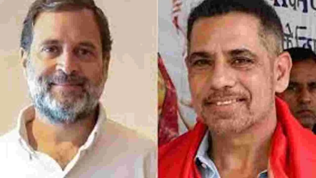 Rahul Gandhi Robert Vadra: మా బావను పదేళ్లుగా వేధిస్తున్నారు