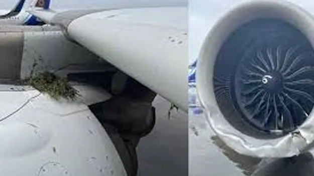 Air India Runway Accident: ముంబైలో రన్‌వే పక్కకు ఎయిరిండియా విమానం