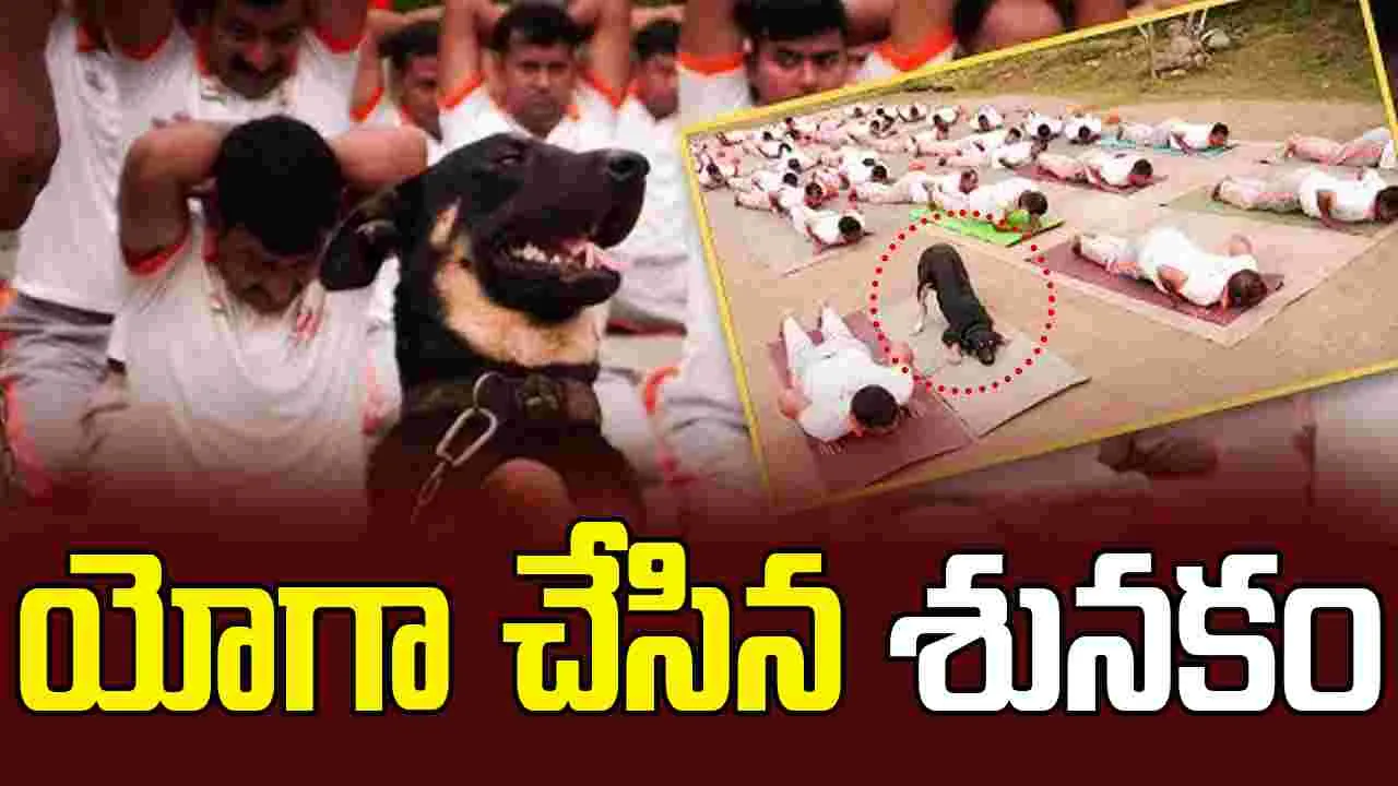 Yoga Day Celebration: యోగా చేసిన శునకం.. అచ్చం మనుషుల్లానే..