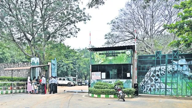 జూ అభివృద్ధికి ప్రత్యేక ప్రణాళిక