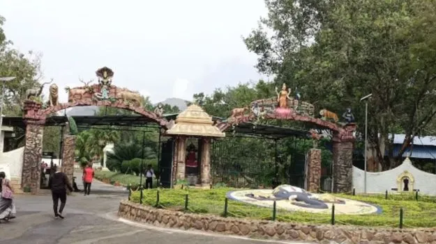 Tirupati SV Zoo Park: తిరుపతి ఎస్వీ జూపార్కులో ఆడ పులి మృతి