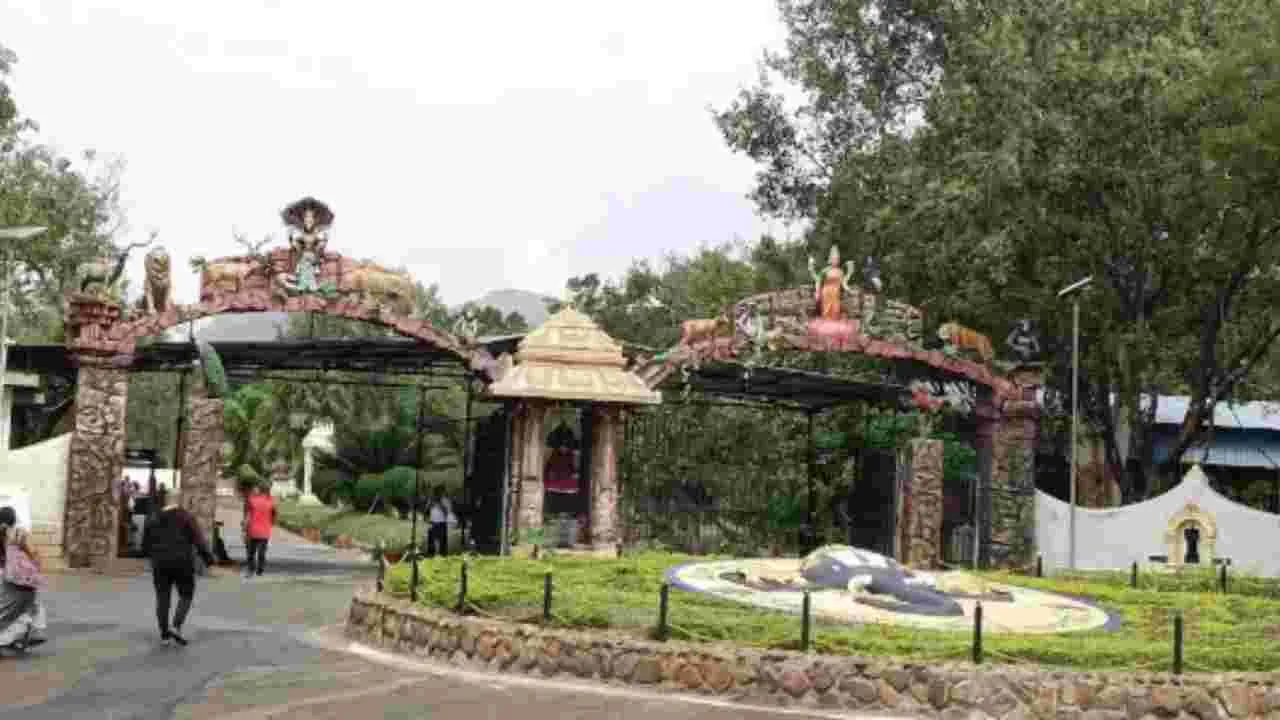 Tirupati SV Zoo Park:  తిరుపతి ఎస్వీ జూపార్కులో ఆడ పులి మృతి
