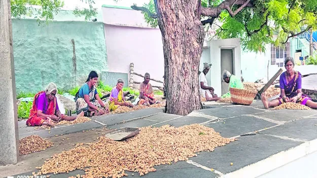 Kharif     ఖరీఫ్‌ సాగుకు సమాయత్తం