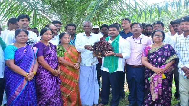 ఆయిల్‌ పామ్‌ సాగు వైపు మొగ్గు చూపాలి