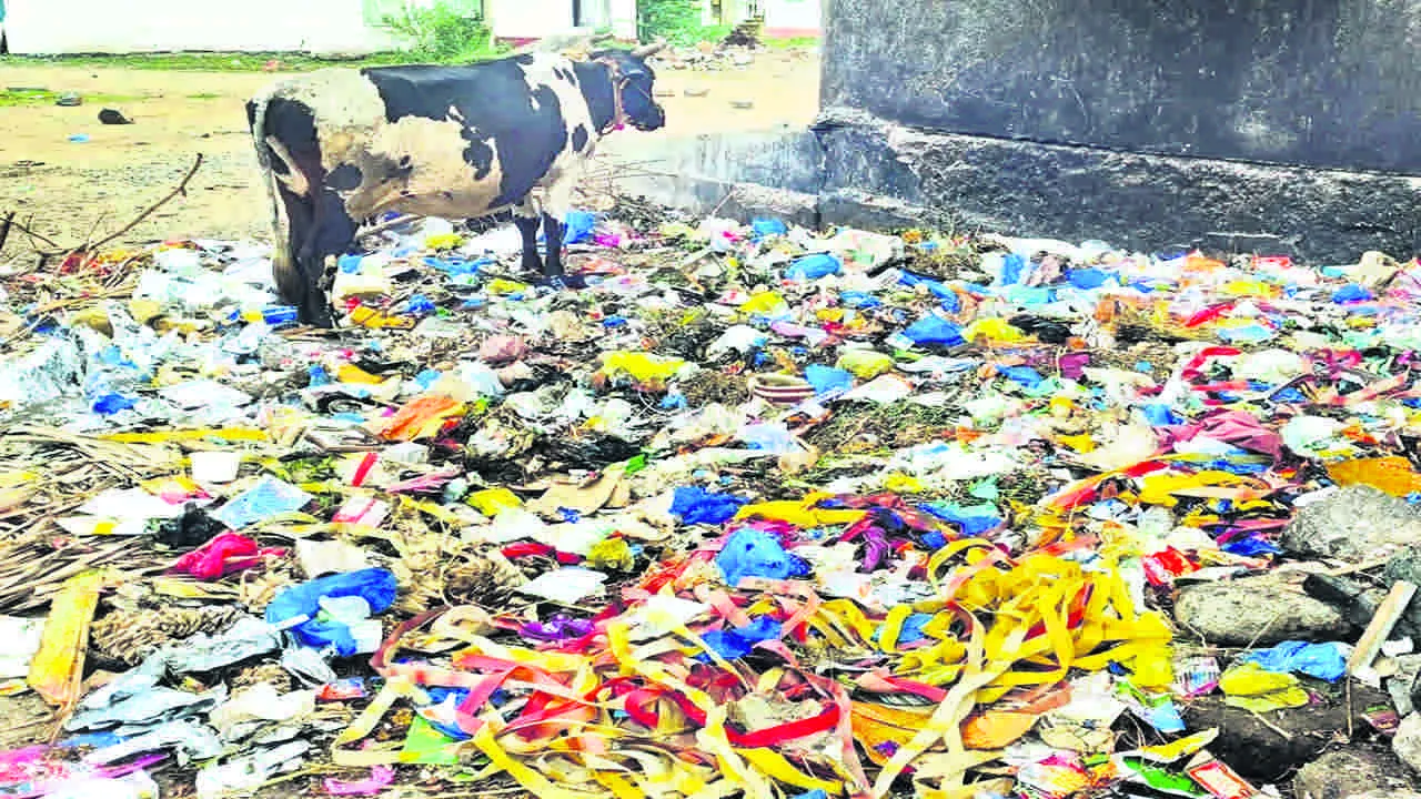 Is this ban ప్లాస్టిక్‌ నిషేధం ఇదేనా..?