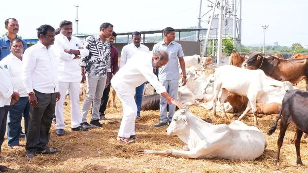 రాజన్న కోడెల మృతి కలిచివేసింది