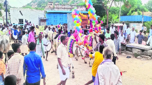 clay bulls ఘనంగా మట్టి ఎద్దుల అమావాస్య  