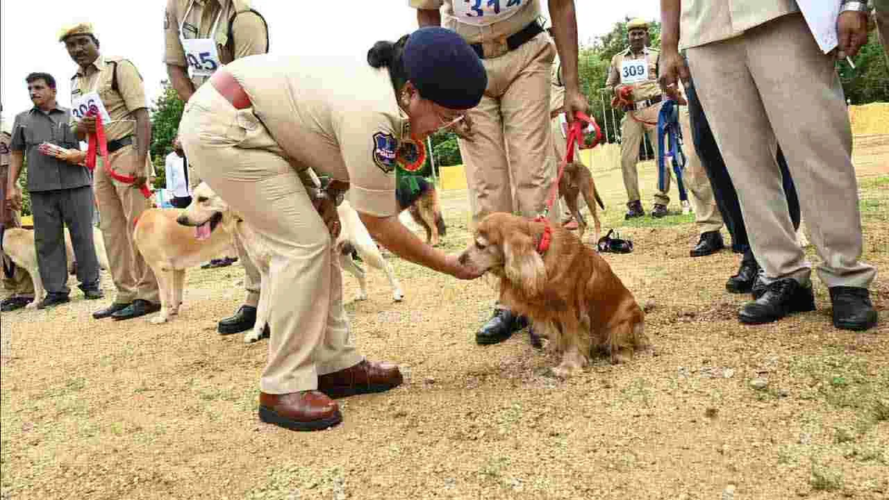 Warangal: వృత్తి నైపుణ్యం పొందేందుకు పోలీస్ డ్యూటీ మీట్లు దోహదపడతాయి: టీపీఏ డైరెక్టర్ అభిలాష బిస్ట్