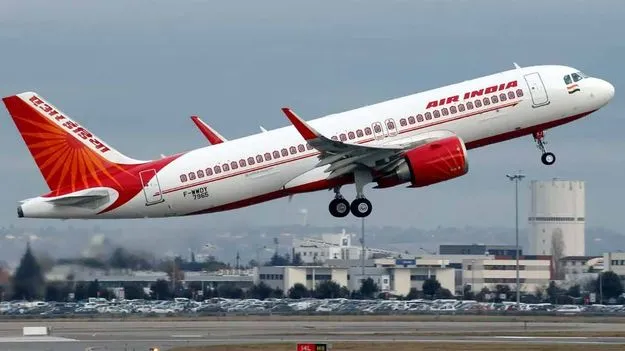 Air India: విమానాన్ని ఢీకొట్టిన పక్షి.. తిరుగు ప్రయాణం రద్దు