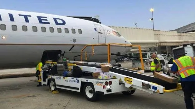 IGI Aviation Jobs 2025: ఎయిర్ పోర్టులో 10వ తరగతితో ఉద్యోగాలు..లాస్ట్ డేట్ ఎప్పుడంటే