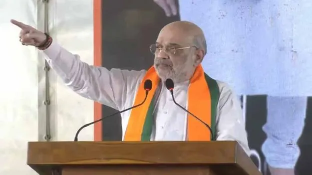 Amit Shah: 2026లో తమిళనాట బీజేపీ గెలుపు తథ్యం