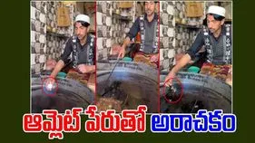 Food Viral Video: మీ దుంపలు తెగా.. చైనాను మించిపోయారు కదరా.. ఆమ్లెట్ ఎలా చేస్తున్నాడో చూడండి.. 