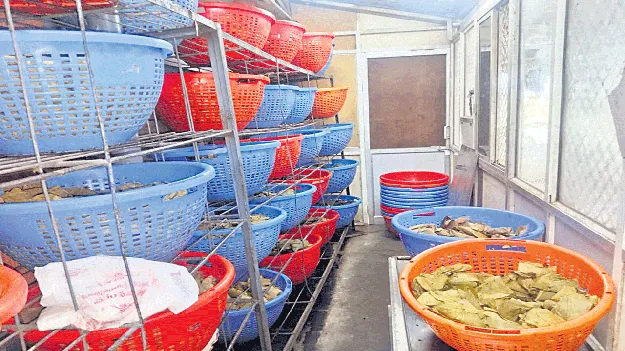 అన్నవరం ప్రసాదం..ఆషాఢంలో అదరహో
