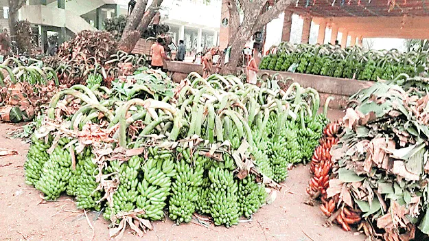 కలిసిరాని శ్రావణం..