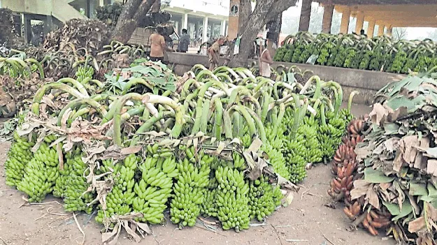 ‘ధర’హాసం!