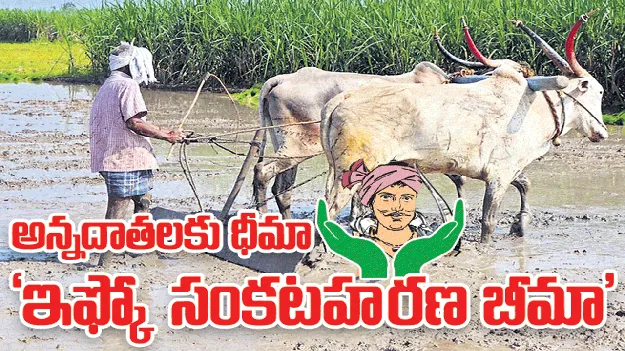 అన్నదాతలకు ధీమా.. ‘ఇఫ్కో సంకటహరణ బీమా’