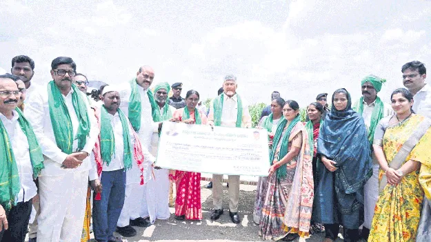 పచ్చని పొలాల్లో.. నారుమళ్ల మధ్య