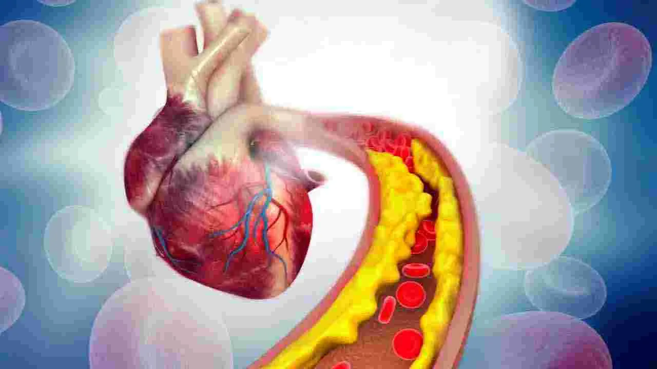 Health Tips: ఈ పండును రోజుకు ఒకసారి తింటే.. వ్యాధులన్నీ పరారవ్వాల్సిందే.. 