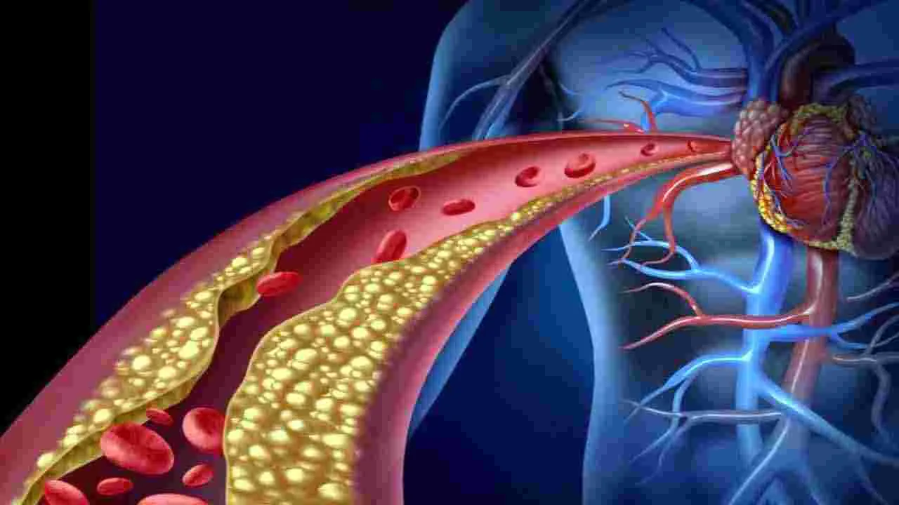 Health Tips: ఉదయం ఖాళీ కడుపుతో కరివేపాకు నీళ్లు తాగితే జరిగేది ఇదే..