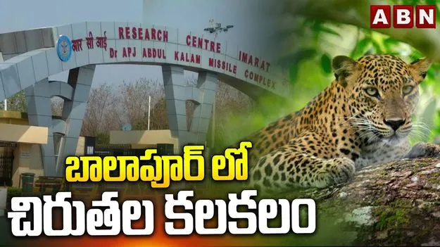 Leopard Scare: రీసెర్చ్ సెంటర్ ప్రాంగణంలో చిరుతల కలకలం