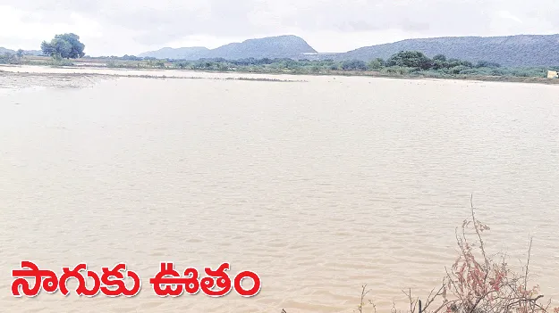 సాగుకు ఊతం