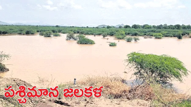 పశ్చిమాన జలకళ