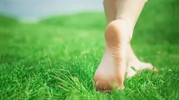 Barefoot Walking: ఉదయం గడ్డి మీద చెప్పులు లేకుండా నడిస్తే కలిగే 5 అద్భుత ఆరోగ్య ప్రయోజనాలు..
