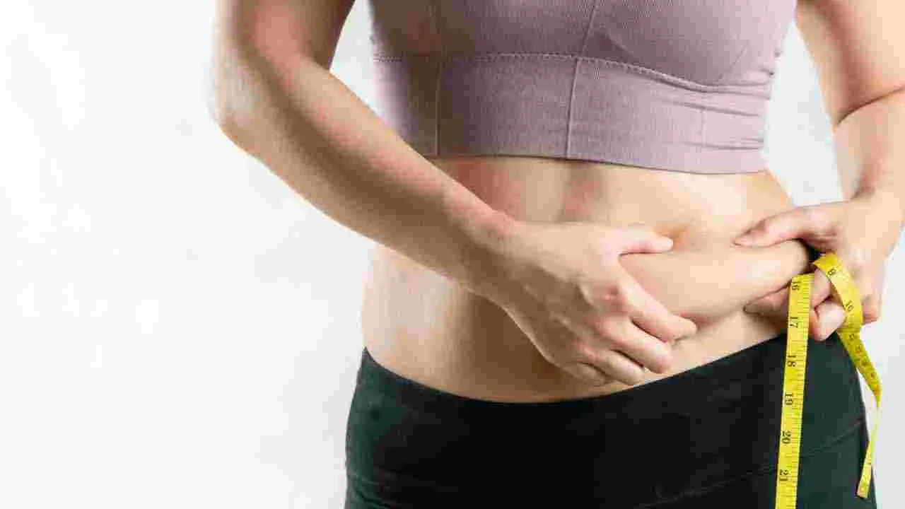 Belly Fat: వయసు పెరిగే కొద్దీ పొట్ట, నడుముపై కొవ్వు పేరుకుపోవడానికి కారణాలు.. పరిష్కారాలు..