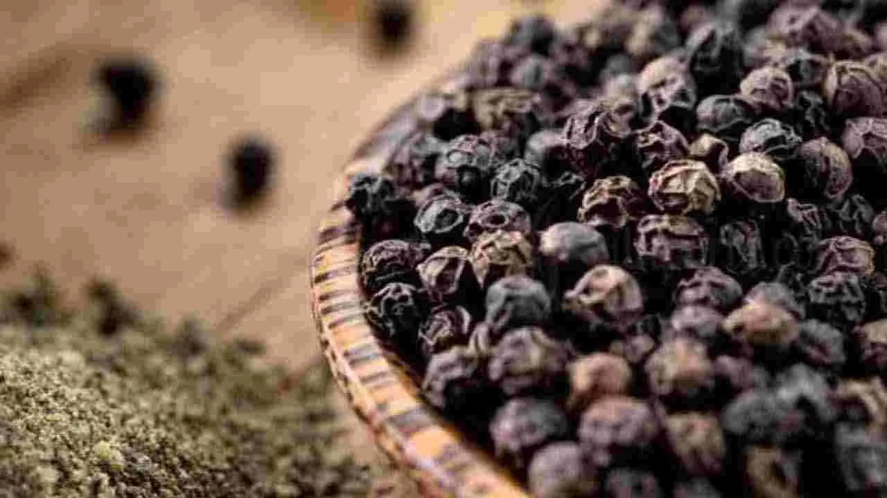 Health Tips: వర్షాకాలంలో రోగ నిరోధక శక్తిని పెంచే 6 ఆహారాలివే.. 
