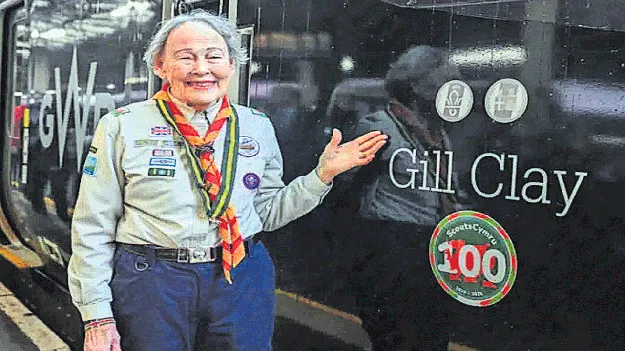 బామ్మగారి సాహసం..