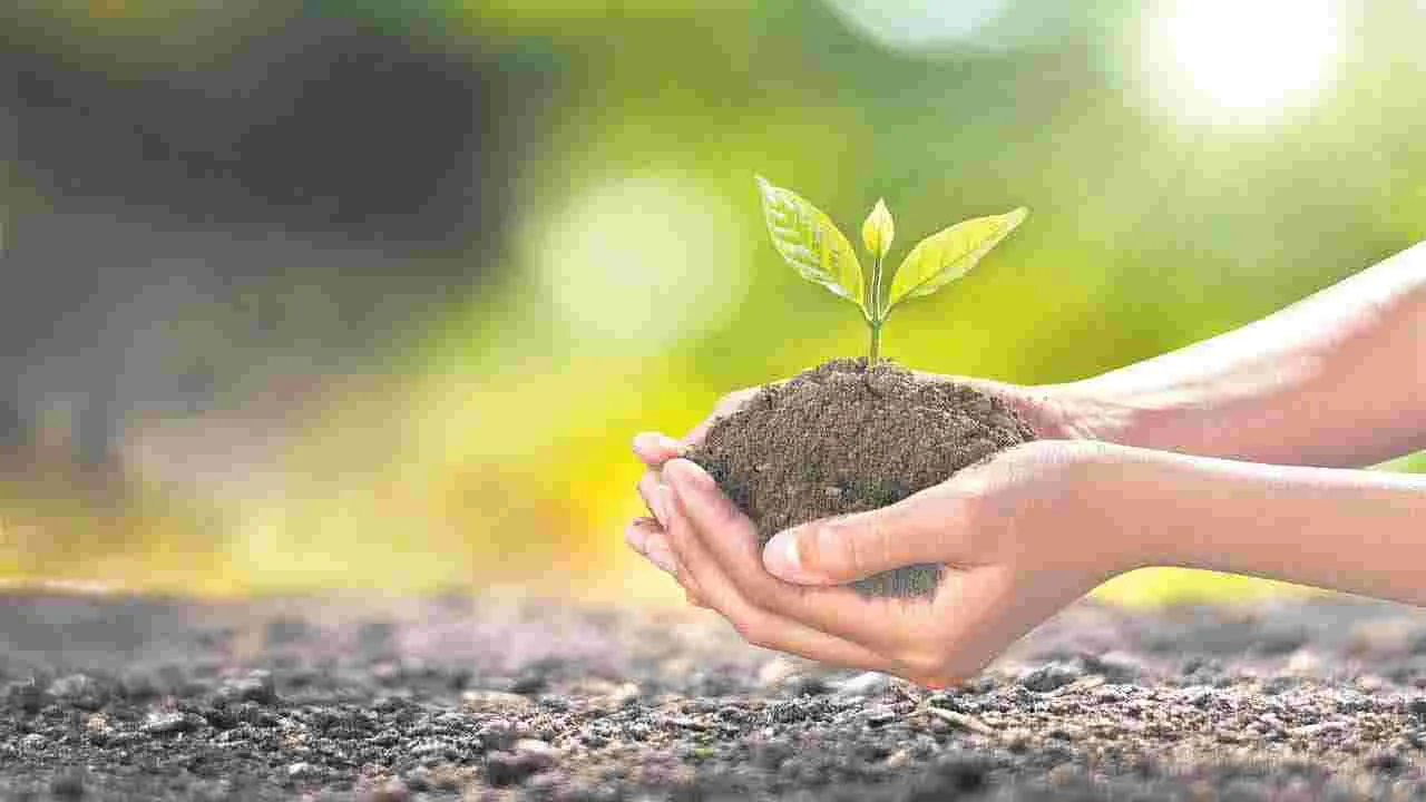 వారిది ‘మొక్క’వోని సంకల్పం..