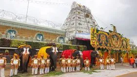 Tirupati: గోవిందుని సేవలో గజరాజులు