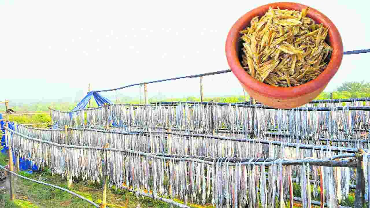 ఉప్పు చేపల కథే వేరు...