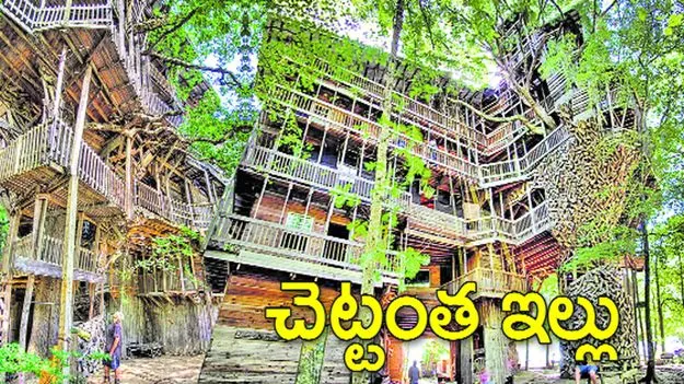 వంద అడుగుల చెట్టంత ఇల్లు..