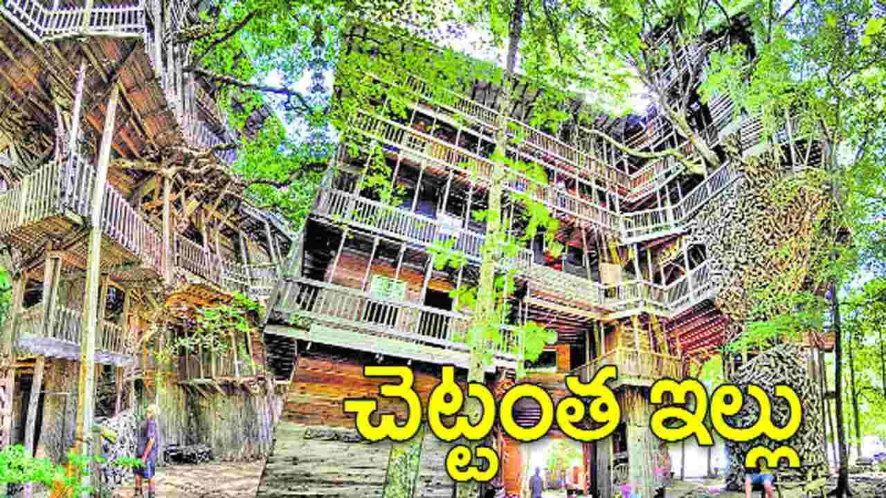 వంద అడుగుల చెట్టంత ఇల్లు..