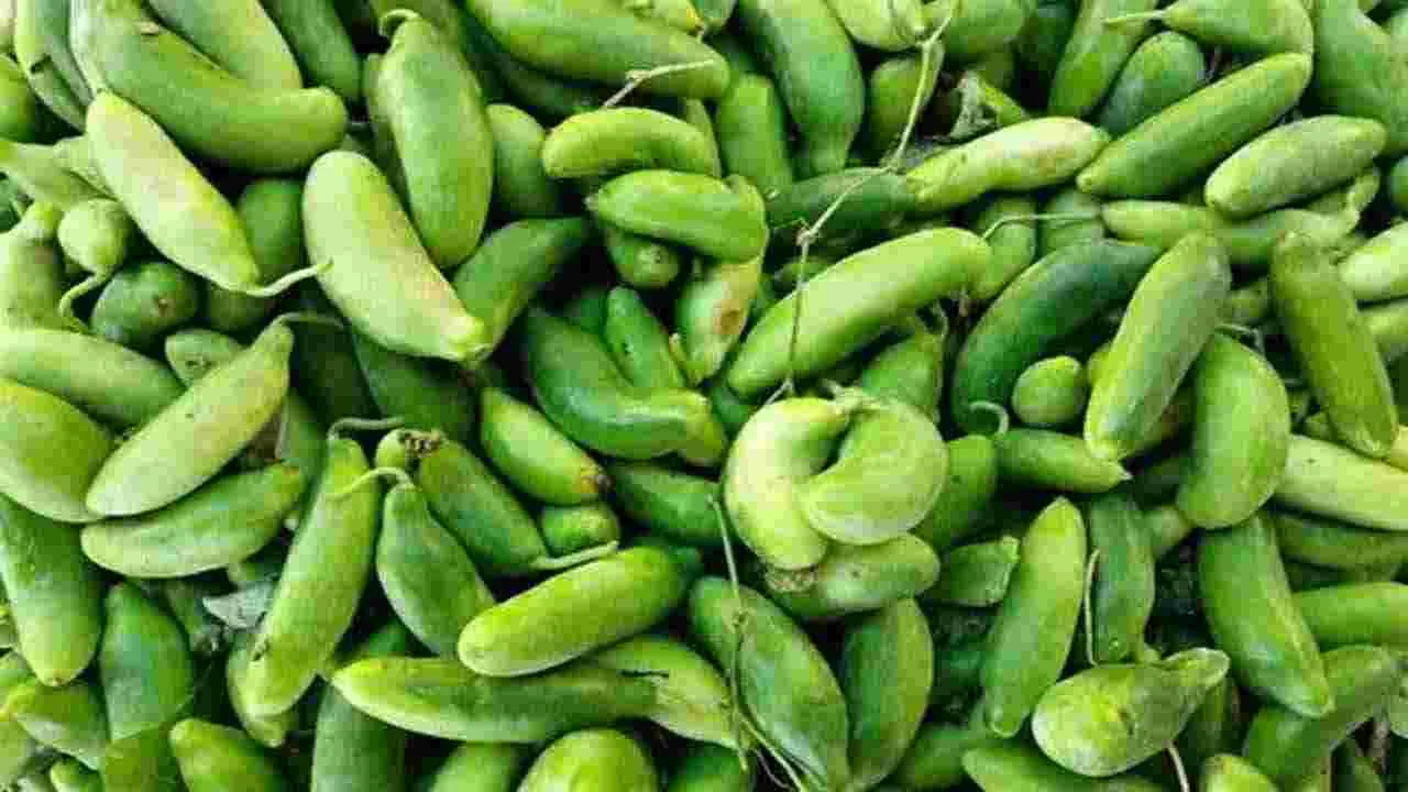 తొలినాటి కూరగాయ దొండ  