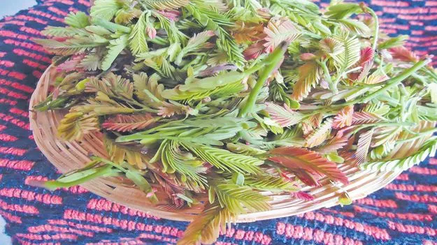చింతచిగురు - చింత చెదురు