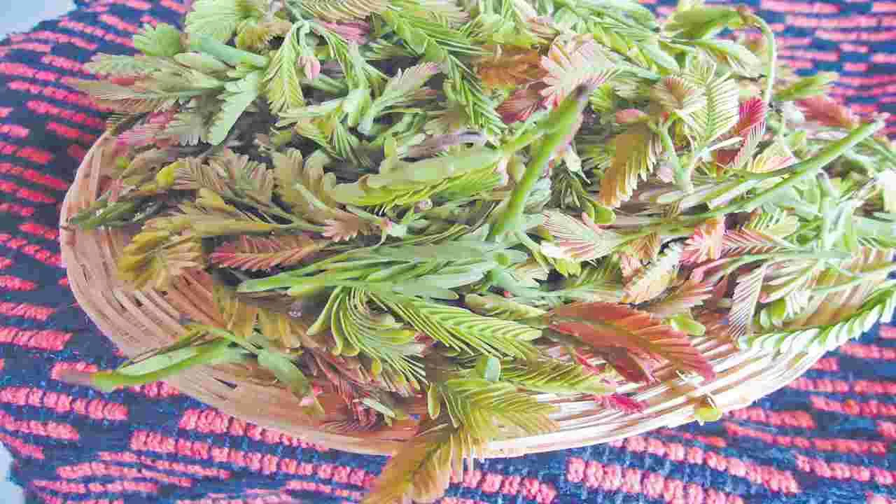 చింతచిగురు - చింత చెదురు