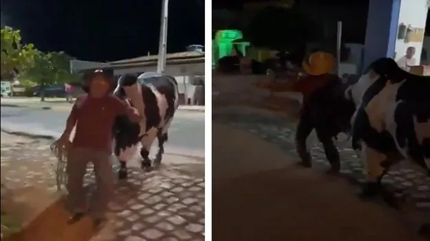 Viral Video: తాగేసి పడిపోయిన యజమాని.. ఎద్దు అతడిని ఇంటికి ఎలా తీసుకెళ్తోందో చూడండి..