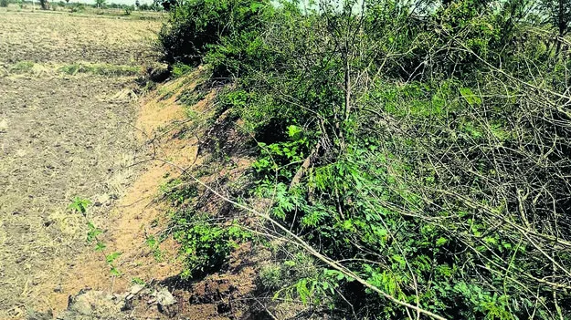 కబ్జాల పాలైన కాల్వ