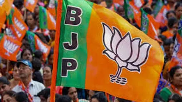 BJP: బీజేపీ రాష్ట్ర సారథి ఎవరు