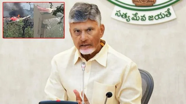AP Govt: విమాన ప్రమాదం.. విజయోత్సవసభ వాయిదా
