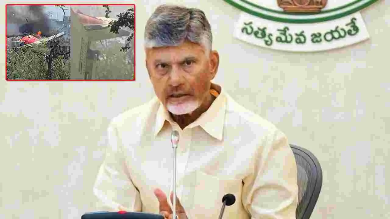 AP Govt: విమాన ప్రమాదం.. విజయోత్సవసభ వాయిదా