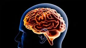 Health: మెదడుపై పని ఒత్తిడి.. స్క్రీన్‏ను ఎక్కువసేపు చూడడంతో సమస్యలు