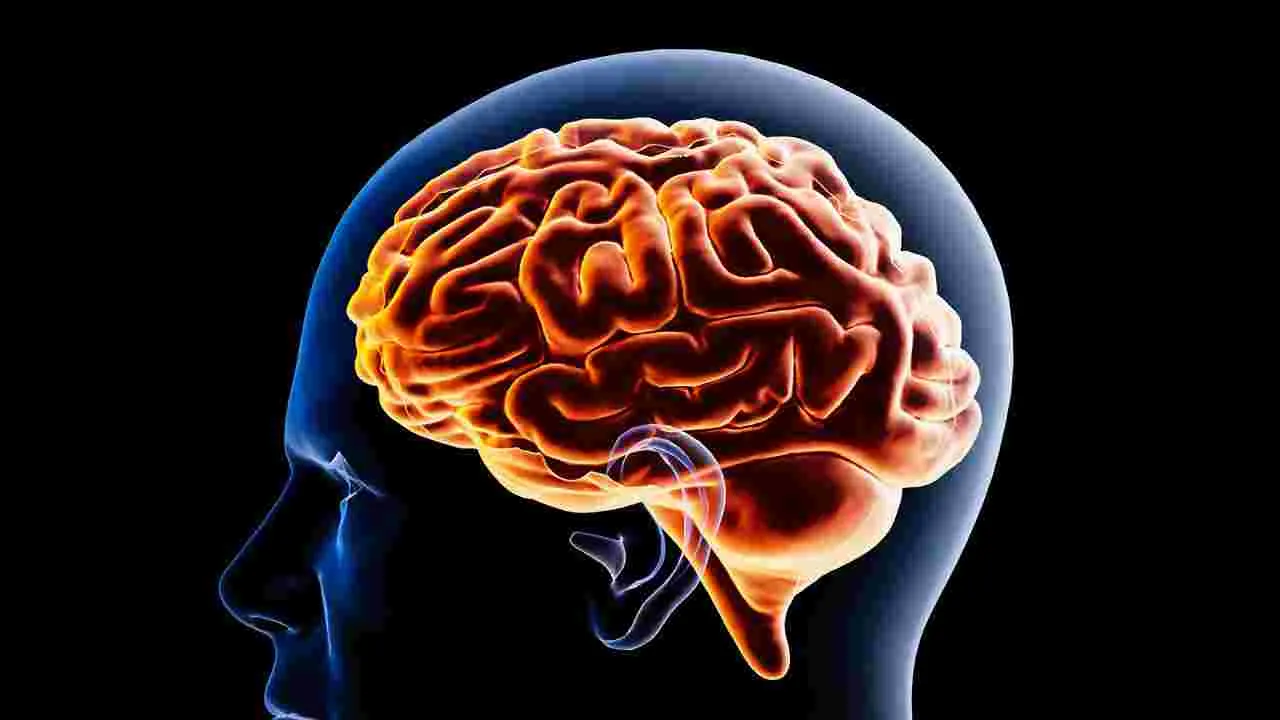 Health: మెదడుపై పని ఒత్తిడి.. స్క్రీన్‏ను ఎక్కువసేపు చూడడంతో సమస్యలు