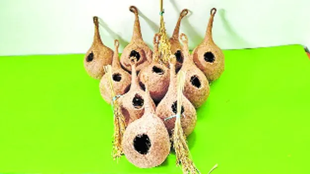 Hyderabad: చెన్నై గూడు.. గువ్వలకు తోడు