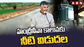 Handri Neva Canal Water Release: హంద్రీ - నీవా కాల్వలకు నీరు విడుదల