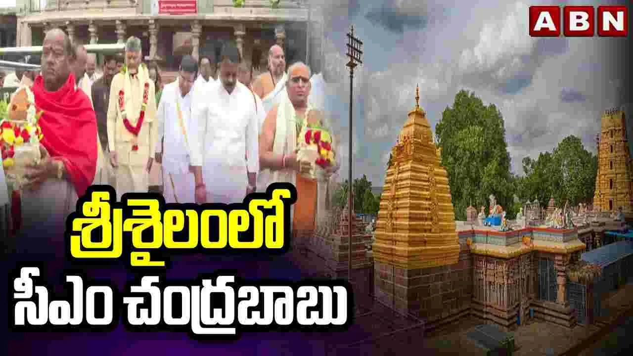 CM Chandrababu In Srisailam: మల్లన్న సన్నిధిలో చంద్రబాబు