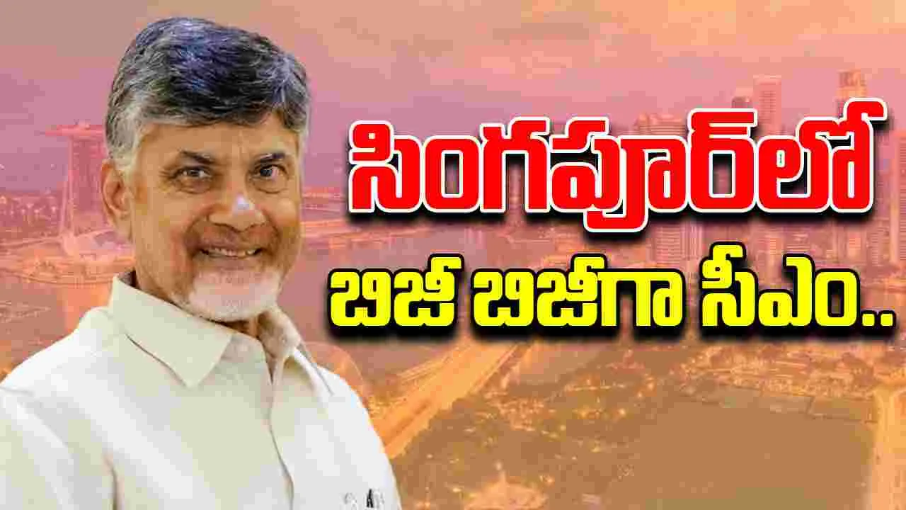 CM Chandrababu: సింగపూర్‌లో సీఎం చంద్రబాబు బిజీ షెడ్యూల్.. పెట్టుబడులపై కీలక చర్చలు