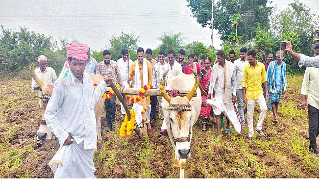 collector  నాగలి పట్టి.. దుక్కి దున్ని!